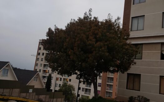 En Venta Departamento Condominio Montesol III, Paso Hondo Quilpué.