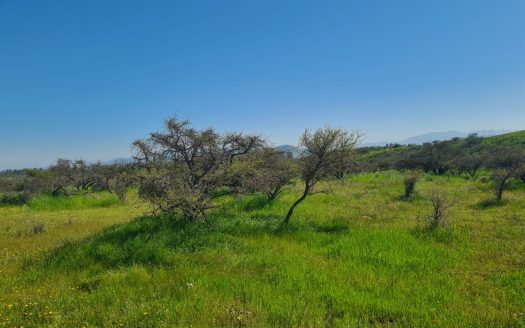 Venta de 3 Parcelas en Limache con Rol Propio