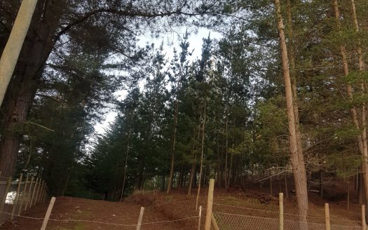 SE VENDE PARCELA CAMINO A QUINTAY EN $69.000.000 (5.000 M2).