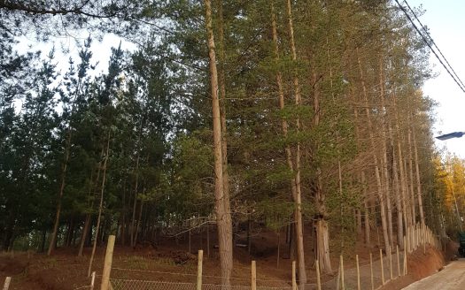 SE VENDE PARCELA CAMINO A QUINTAY EN $69.000.000 (5.000 M2).