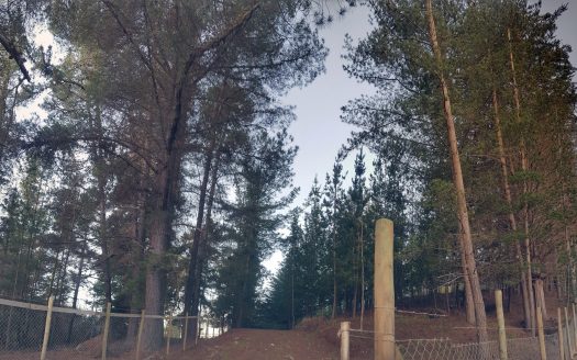 SE VENDE PARCELA CAMINO A QUINTAY EN $69.000.000 (5.000 M2).